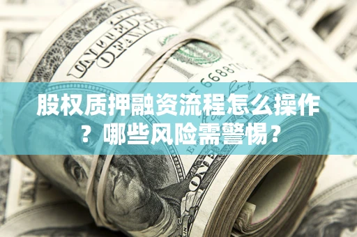 武汉股权质押融资流程怎么操作？哪些风险需警惕？