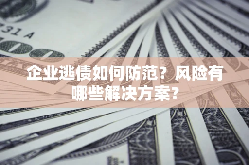 武汉企业逃债如何防范？风险有哪些解决方案？