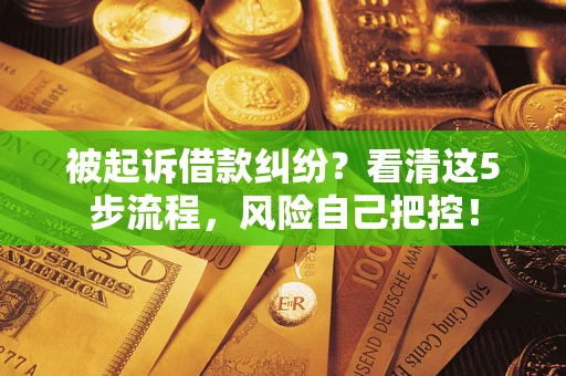 武汉被起诉借款纠纷？看清这5步流程，风险自己把控！
