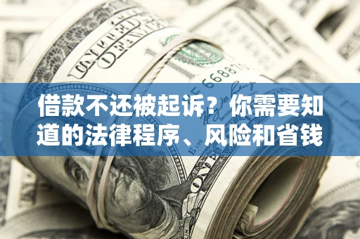 武汉借款不还被起诉？你需要知道的法律程序、风险和省钱技巧